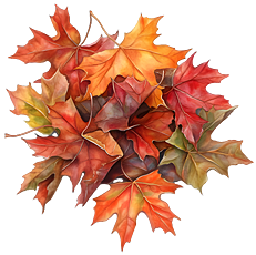 Pile of Maple Leaves - Decorative Image